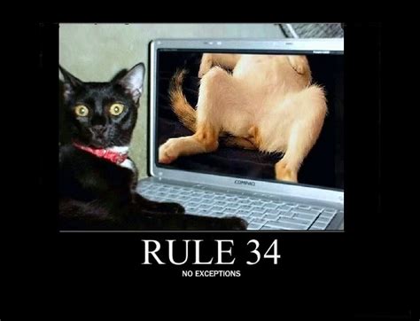 (Supports wildcard). . Rule 34 cat